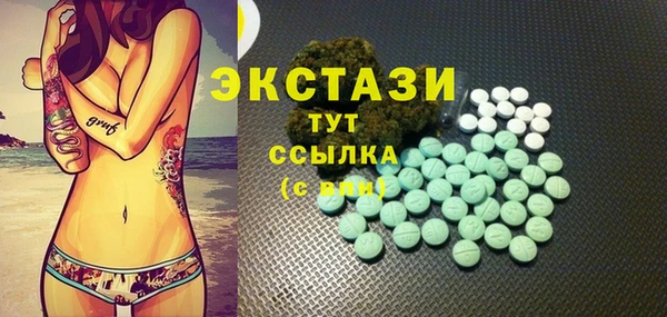 ешки Новодвинск