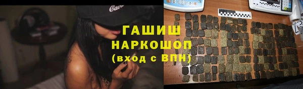 ешки Новодвинск