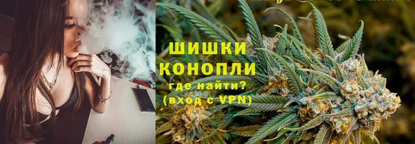 ешки Новодвинск