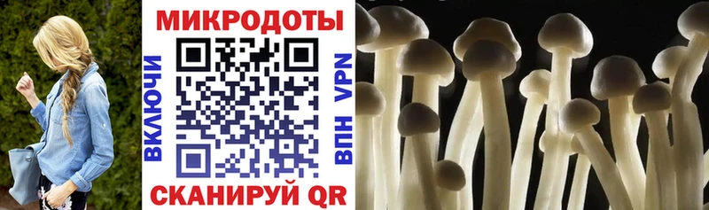 цены   кракен ONION  Псилоцибиновые грибы Cubensis  Камбарка 