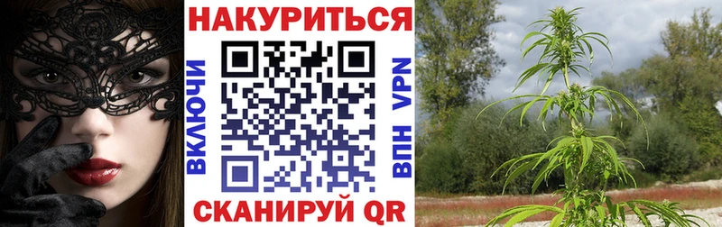 Бошки марихуана план  блэк спрут ссылки  Камбарка 